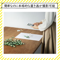 エレコム 撮影用背景シート DGA-BPA306 1セット（6枚入）