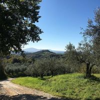 【手土産やプレゼントに】 「OLiVO」オリーブオイルとモデナ産ホワイトバルサミコ酢セット　ギフトカード　スタンダード封筒（直送品）