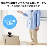 ピンマイク クリップマイク 4極ミニプラグ 変換ケーブル付 収納ポーチ ケーブル長:1.8m ブラック HS-MC09BK エレコム 1個（直送品）