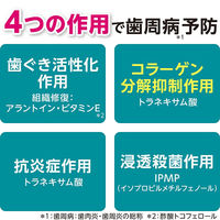 システマ ハグキプラス ハミガキ 組織修復成分ダブル配合 歯周病予防 90g 1セット（2本）医薬部外品 ライオン