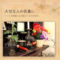 コモライフ 使い切り彩りミニロウソク 218920 1個