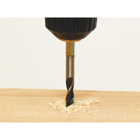 イチネンMTM RDD-21 ドリル&ドライバー 82417 1個