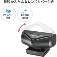 サンワサプライ 会議用カメラ CMS-V60BK 1個
