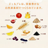 Gerble（ジェルブレ）　アップル＆ヘーゼルナッツビスケット　1セット(（4枚×4袋入)×12箱）　大塚製薬　栄養補助食品