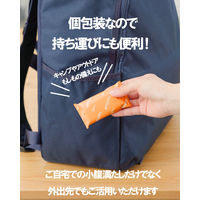 おからだから チーズケーキ 1セット（1個（2袋入）×10） 栄養調整食品 グリコ