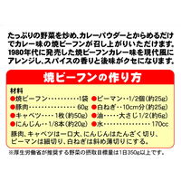 即席袋めん　ケンミン　焼ビーフン　スパイス香る幻のカレー　58g　1セット（10個）　ケンミン食品