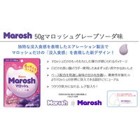 マロッシュ グレープソーダ味 50g 12袋 カンロ グミ キャンディ