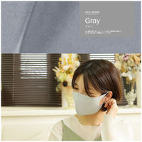 クリエイトアルファ 2セット ウレタンマスク ひんやり 冷感　マスク 男 洗える 黒 紺　灰 4582243 752800-2 1セット（直送品）