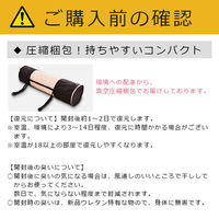 クリエイトアルファ 1セット マットレス シングル 折りたたみ 高反発 10cm 寝具 紺 4582243 753067-NB-1（直送品）