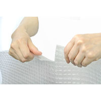 川上産業 スパスパ □38 600mm×42m 1巻