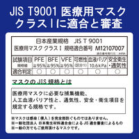 アイリスオーヤマ 医療用デイリーフィットマスク ナノエアーフィルタープラス ふつうサイズ SPN-DNI30L 1箱（30枚入）