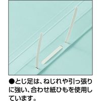 コクヨ フラットファイル＜オール紙＞（厚とじ）G フ-RKW10G 1個