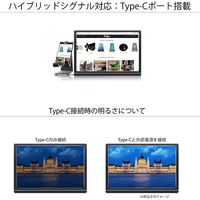 【アウトレット】JAPANNEXT モバイルモニター 10.1インチ WUXGA JN-MD-IPS1010HDR【終売品】