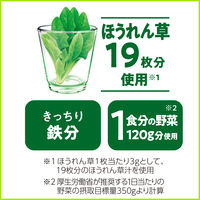 伊藤園 充実野菜 緑の野菜ミックス エコボトル 740g 1箱（15本入）【野菜ジュース】