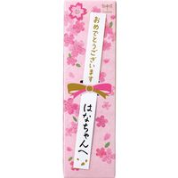 トンボ鉛筆 お祝い鉛筆 W02 2B 12本入 消しゴム付 MP-KW02-2B 1セット(1パック×2)
