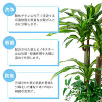 ファミリー・ライフ 人工観葉植物 鉢ポット付　ベンジャミン&幸福の木　インテリアグリーン a25848 1セット（2本入）（直送品）