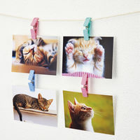 オープン工業 ジョイントクリップ 6個入 CX-40 1セット(6個入)