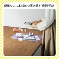 撮影用 背景 背景シート ニュアンスカラー(6色) A3サイズ 6枚入 DGA-BPA3NC エレコム 1個