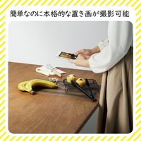 エレコム 撮影用背景シート/NATURAL WOOD/A3サイズ DGA-BPA3NW 1セット(6枚入)