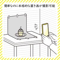 エレコム 撮影用背景シート/GRADATION/大判サイズ/3枚入 DGA-BPBGGD 1個