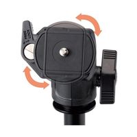 ベルボン 三脚 POLE POD LIGHT FREE 68-7035-05 1本（直送品）