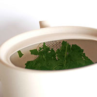 南海通商 急須 460ml ロクサン tokoname 平型 ホワイト 476136 1個（直送品）