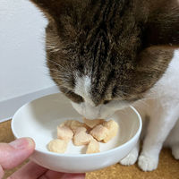 ペティオ ねこちゃんの 素材そのまま 完全無添加 生後3ヶ月からのひとくち蒸しササミ105g(35g×3袋）1袋 猫用 おやつ