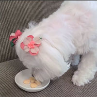 ペティオ 素材そのまま 完全無添加 生後3ヶ月からのひとくち蒸しササミ 105g(35g×3袋）1袋 犬用 おやつ