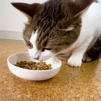 ペティオ プラクト 総合栄養食 幼猫～成猫用 ドライフード チキン味 国産 540g（分包タイプ270g×2袋）1袋 キャットフード