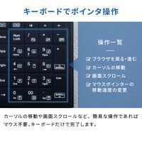スリーアール 防水耐油式 有線キーボード ブラック 3R-WOKB01BK 1個