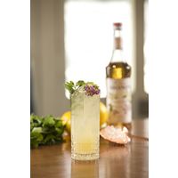 業務用 割り材 モナン エルダーフラワー・シロップ 700ml 3本 MONIN 割材 ドリンクベース フレーバーシロップ