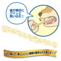 ドギーマン ホワイデント 歯間ケア デンタルロープ ホワイト SS 超小型犬向き 25g（14本）1袋 ドッグフード 犬用 おやつ