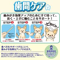 ドギーマン ホワイデント 歯間ケア デンタルロープ ホワイト SS 超小型犬向き 25g（14本）3袋 ドッグフード 犬用 おやつ