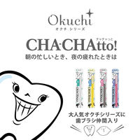 歯ブラシ オクチ チャチャっと  ハブラシ1本 ビタットジャパン