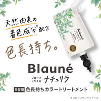 ブローネ　ナチュリラ　色長持ちカラートリートメント　ダークブラウン　大容量パウチ 250g 花王