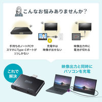 サンワサプライ USB TypeーC 拡張アダプタ(アダプタタイプ・PD対応) AD-ALCCPD01 1個