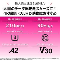 キオクシア microSDカード 64GB SDXC UHSーI R210 国内サポート KMUH-C064G 1枚