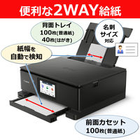 キヤノン(Canon) インクジェット複合機 ブラック PIXUS　TS8930BK 1台