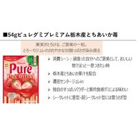 グミ 食べきりサイズ カンロ ピュレグミプレミアム栃木産とちあいか苺 54g 1セット（1個×6）