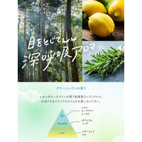 ラボン LAVONS トゥザムーン シャレボン オシャレ着用洗剤 グリーンヘブンの香り 本体 500mL 1個 洗濯洗剤 ネイチャーラボ