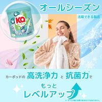 Ka カーポッド 部屋干し ボール型洗濯洗剤 本体 1個（20粒入） 王子製薬