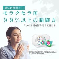 arFUM Liry アフュ―ム リリー ボール型洗濯洗剤 本体 1個（20粒入） 王子製薬