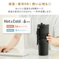 武田コーポレーション ストロータンブラー 700ml STT-700mlBK 1箱(6個入)（直送品）