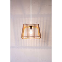 新洋電気 簾 ren AP799 1台（直送品）