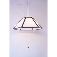 新洋電気 丹 tan-S 雲竜 AP822-2 1台（直送品）