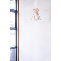 新洋電気 杯 hai 波落水+無地 AP839 1台（直送品）