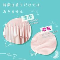 arFUM Liry アフュ―ム リリー ボール型洗濯洗剤 詰め替え 1セット（100粒入×3個） 王子製薬