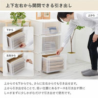 収納ケ-ス コンビネ-ションケ-ス ミドルS 3918 幅39×奥行44.7×高さ18.3cm クリアホワイト 470559 1個（直送品）