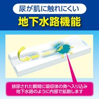 白十字 サルバ あて楽パッド朝まで1枚強力吸収 27枚入 33195 1パック