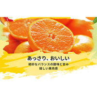 ドール　フルーツカップ　みかん＆アロエ　300g 3個